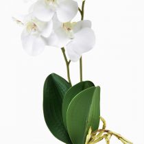 Artikel Witte Orchidee op Pluk Kunst Phalaenopsis Real Touch 39cm