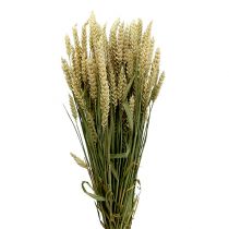 Tarwe bos naturel decotarwe 1 bos 150g
