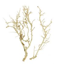 Artikel White Bush gebleekt 5 st