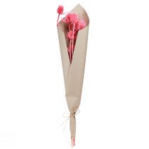 Artikel Gedroogde decoratie van wilde kaardebol, roze distels, 53 cm, 10 koppen