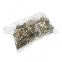 Artikel Wilde Lelie Natuurlijke Decoratie Exotische Gedroogde Bloemen 6-8cm 50 stuks