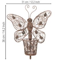 Artikel Metalen lantaarn, wanddecoratie, vlinder, roestkleurige afwerking, 36,5 cm