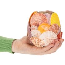 Artikel Nautische theelichthouder, lantaarn, echte schelpen, decoratie voor de badkamer, vakantiesfeer, 12 cm