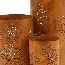 Artikel Herfst decoratie lantaarn roest look H20/15/10cm set van 3