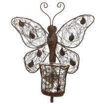Artikel Lantaarn metalen wanddecoratie vlinder roest decoratie 36,5cm