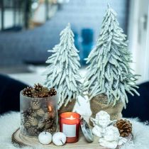 Winterspar in pot, kerstversiering, dennenboom met sneeuw H45cm