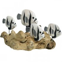 Decoratieve vis staand wortelhout display Maritieme decoratie 38cm