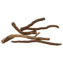 Artikel Decoratieve houten takken en wortelstokken, natuurlijk gedroogd, 18 cm, 500 g
