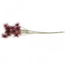 Artikel Xanthium kunstbloem herfstdecoratie rood 6 bloemen 80cm 3st
