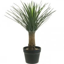 Artikel Yucca kunstpalm in pot Kunstpalm potplant H52cm