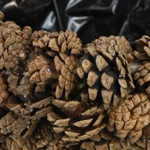 Artikel Kegelmand plantenmand dennenappels naturel Ø33cm H17cm