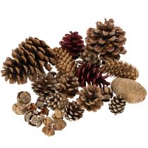 Artikel Gemengde dennenappels, naturel, voor knutselwerk en adventsdecoratie, 2-10 stuks, 400 g