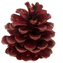 Artikel Dennenappelmix Natuurlijk - 400g voor Decoratie en Knutselen