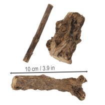 Artikel Betoverende decoratieve houten wortels voor uw huis