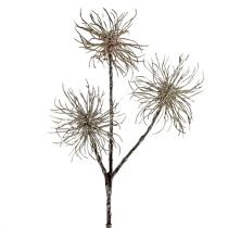 Artikel Toverhazelaartak champagne 45cm 3 st