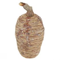 Artikel Cederkegels decoratief cederhout naturel 9-10,5cm 3 st