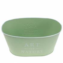 Artikel Bloemschaal ovaal zink mintgroen 27×18cm H12.5cm