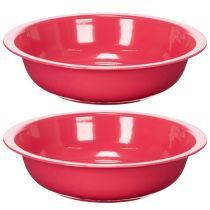 Artikel Ronde plantenbak voor stijlvolle binnen- of tuindecoratie, 29 cm, 2 stuks