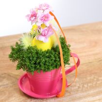 Artikel Plantenpotje met schotel voor creatieve tuinen, 11 cm, 6 stuks