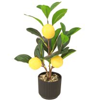 Artikel Citroenboom in pot kunstmatig in groen geel H28cm