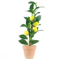 Artikel Citroenboom in pot kunstplant 42cm