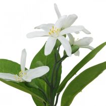 Artikel Decoratietak citroen en bloemen kunsttak zomerdecoratie 26cm 4st