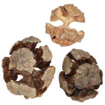 Artikel Cipreskegels decoratieve natuurlijke cipreskegels 2-4cm 250g