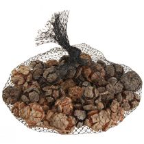 Artikel Cipreskegels decoratieve natuurlijke cipreskegels 2-4cm 250g