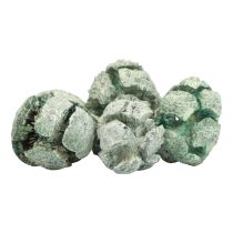 Artikel Cipres kegels mat natuurlijke decoratie 3cm groen 500g