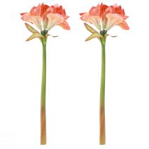 Artikel Amaryllis decoratieve bloemen in oranje kunst L55cm 2st