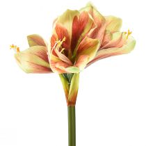 Artikel Kunstamaryllisbloem in roze en geel - 66 cm - ideaal cadeau-idee en stijlvolle decoratie voor interieur