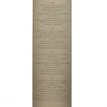 Artikel Infinity Roos met Bladeren Geconserveerd Amorosa Rood L54cm