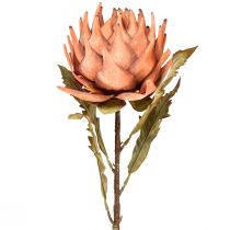 Artikel Artisjok kunstbloem herfst oranje droge look Ø15cm 73cm
