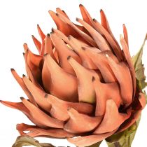 Artikel Artisjok kunstbloem herfst oranje droge look Ø15cm 73cm