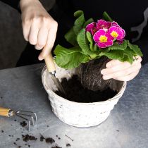 Artikel Decoratie met rieten manden voor een veelzijdig interieur, 20 cm, 8 stuks