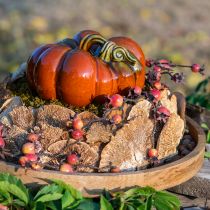 Artikel Boomspons natuurlijke decoratieve paddenstoelen gedroogd 6cm 1kg