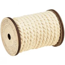 Artikel Katoenen koord sierkoord crème Ø6mm 5m per 2st