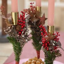 Artikel Bessenprikker Rood 23cm 12 stuks