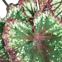 Artikel Begonia Kunstplanten Bladbegonia&#39;s Groen Paars 62cm