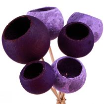 Artikel Bell Cup op stokje Exotische droge decoratie Paars Bes 44cm 15 st