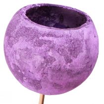 Artikel Bell Cup op stokje Exotische droge decoratie Paars Bes 44cm 15 st