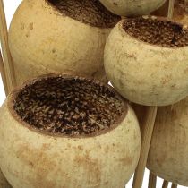 Artikel Bell Cup Mix op stokje Natural Exotics 15 st