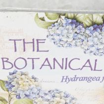 Artikel Ovale metalen bloemenvaas met handvatten, voor hortensia's, 32×15×15 cm