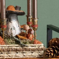 Artikel Bloemplug paddestoel sierplug hout bruin Ø2,5cm 8 stuks