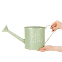 Artikel Bloempot, decoratieve gieter, mintgroene zinken plantenbak, Ø16,5 cm