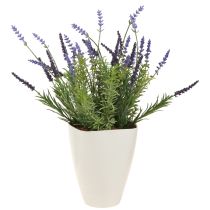 Artikel Bloempot kunststof orchideeënpot kunststof wit H16,5cm 4st