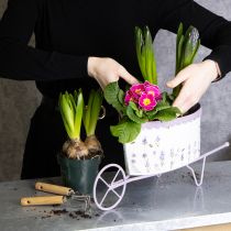 Artikel Bloempotkruiwagen met stijlvolle lavendellook, 46 cm