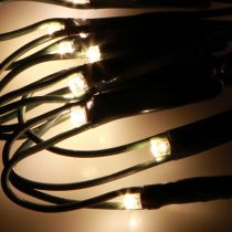 Artikel Lichtnet buiten buxus lichtketting 60 LED Ø35cm