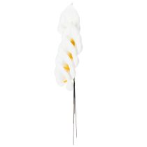 Artikel Calla lelies, middelgroot, op draad, 50 stuks