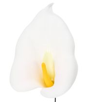 Artikel Calla lelies, middelgroot, op draad, 50 stuks